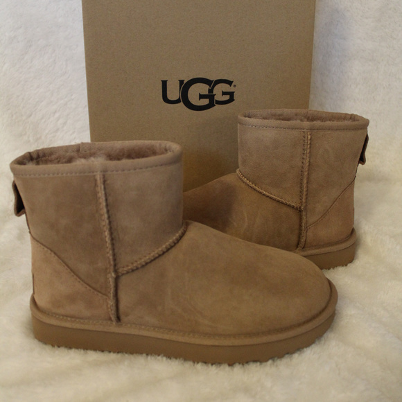 UGG Shoes - UGG SUEDE CLASSIC MINI BOOTS